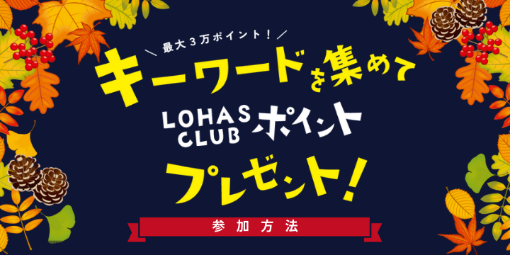 my lohas 安い 雑誌